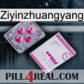 Ziyinzhuangyang 32